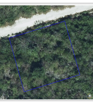 CAYMAN BRAC BLUFF LOT - BOOBY BIRD DR.