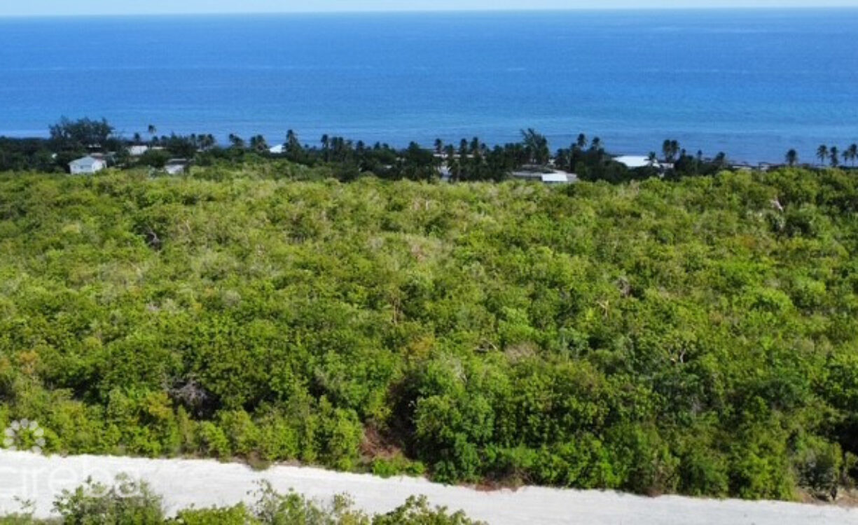 BLUFF LAND - CAYMAN BRAC EAST - LOT #3