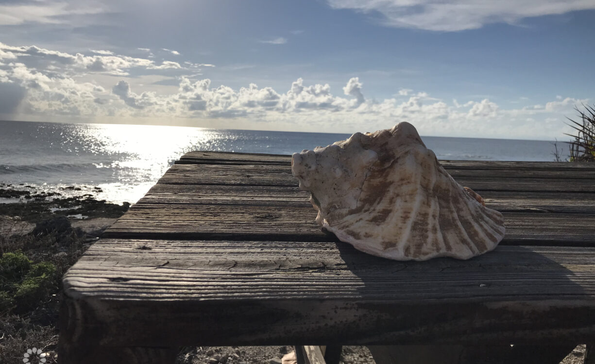 LITTLE CAYMAN CORNER LOT FOR SALE