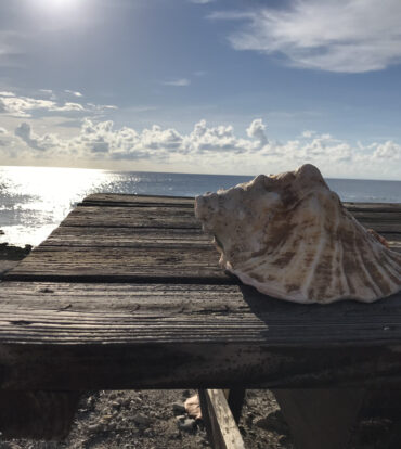 LITTLE CAYMAN CORNER LOT FOR SALE