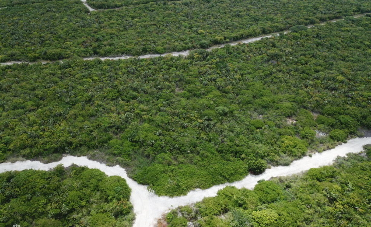 LITTLE CAYMAN LOT NEAR POINT OF SANDS