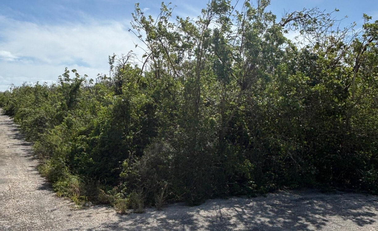 LITTLE CAYMAN EAST 0.3017 ACRES