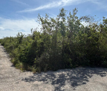 LITTLE CAYMAN EAST 0.3017 ACRES
