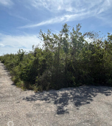 LITTLE CAYMAN EAST 0.3017 ACRES