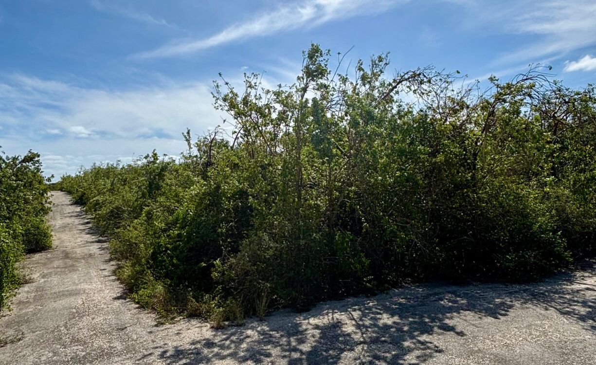 LITTLE CAYMAN EAST 0.3017 ACRES