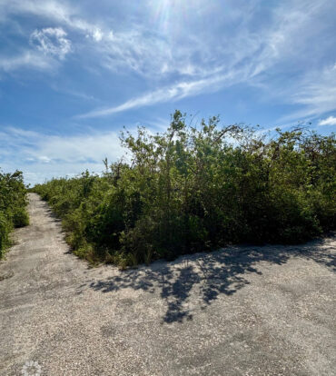 LITTLE CAYMAN EAST 0.3017 ACRES