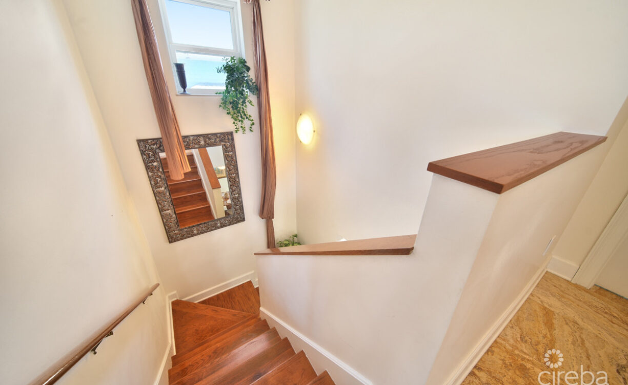 SEACLIFF YELLOW LOCATED IN COTTAGE