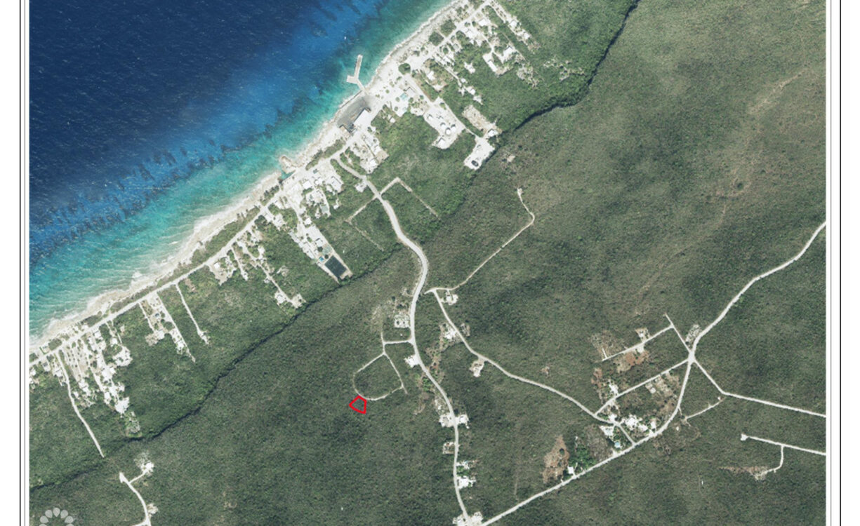 CAYMAN BRAC BLUFF LOT  (.2901 ACRE)