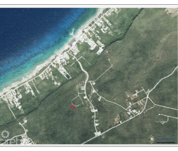 CAYMAN BRAC BLUFF LOT  (.2901 ACRE)