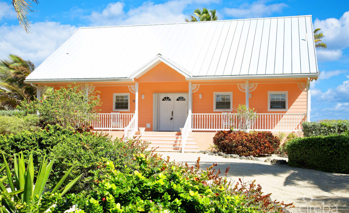 CAYMAN DREAM