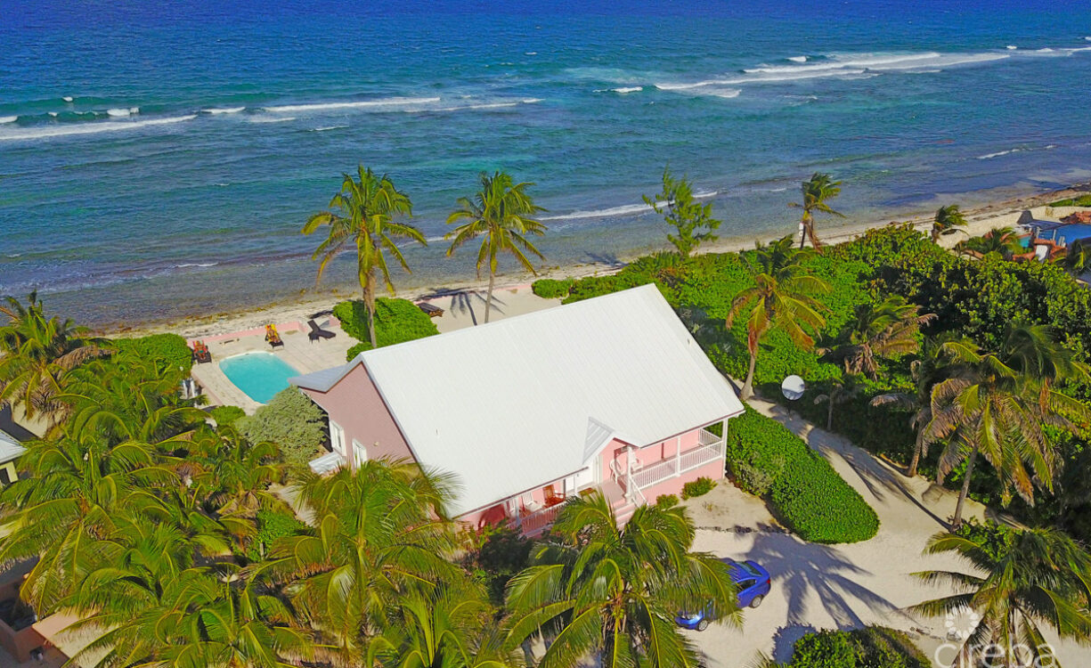 CAYMAN DREAM