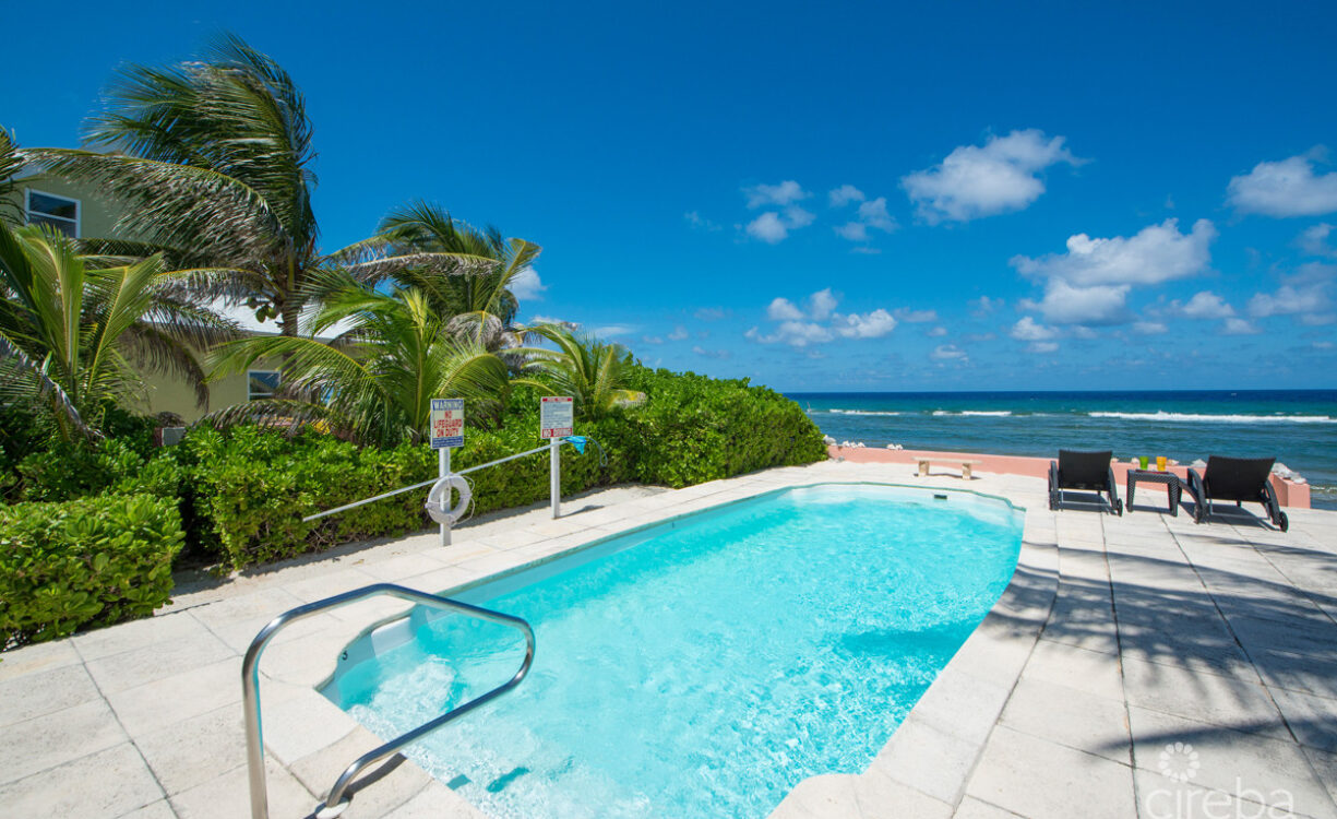CAYMAN DREAM