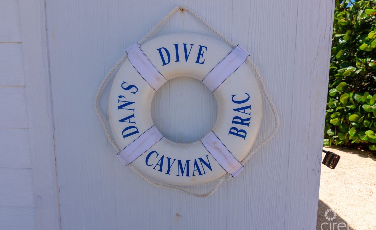 DAN'S DIVE