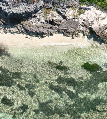 NORTH EAST COAST OCEAN FRONT LAND