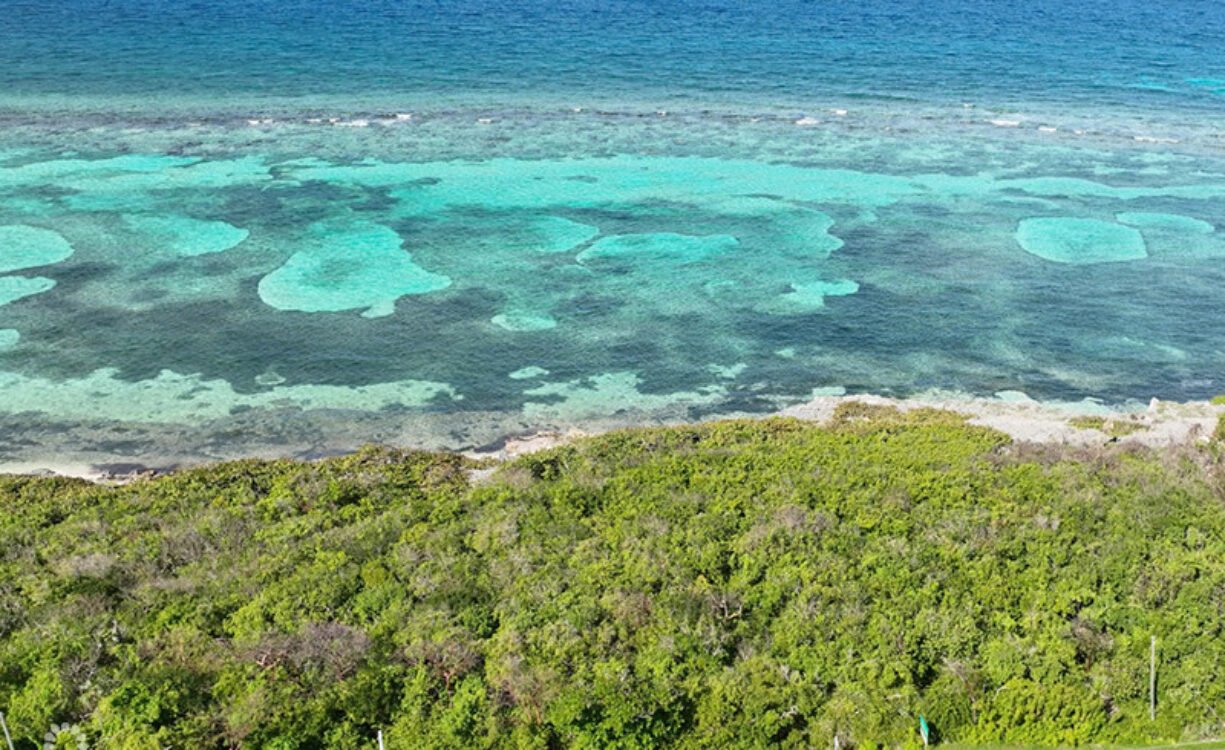 NORTH EAST COAST OCEAN FRONT LAND