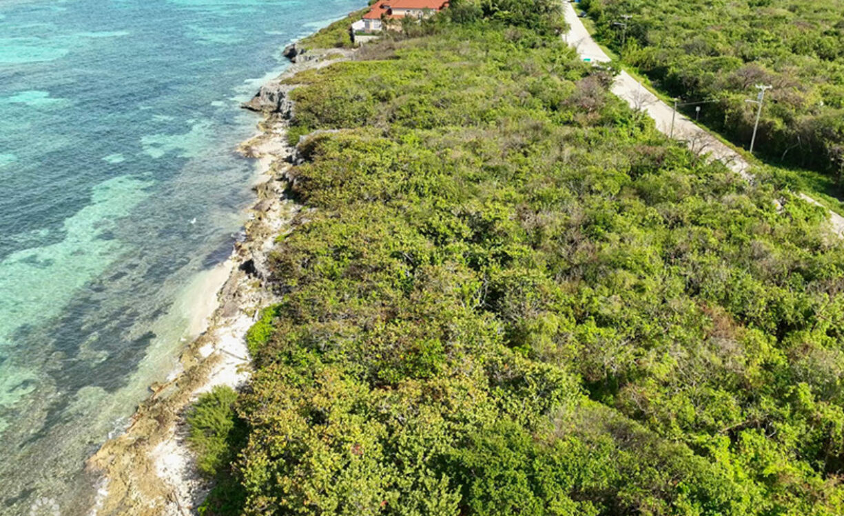 NORTH EAST COAST OCEAN FRONT LAND