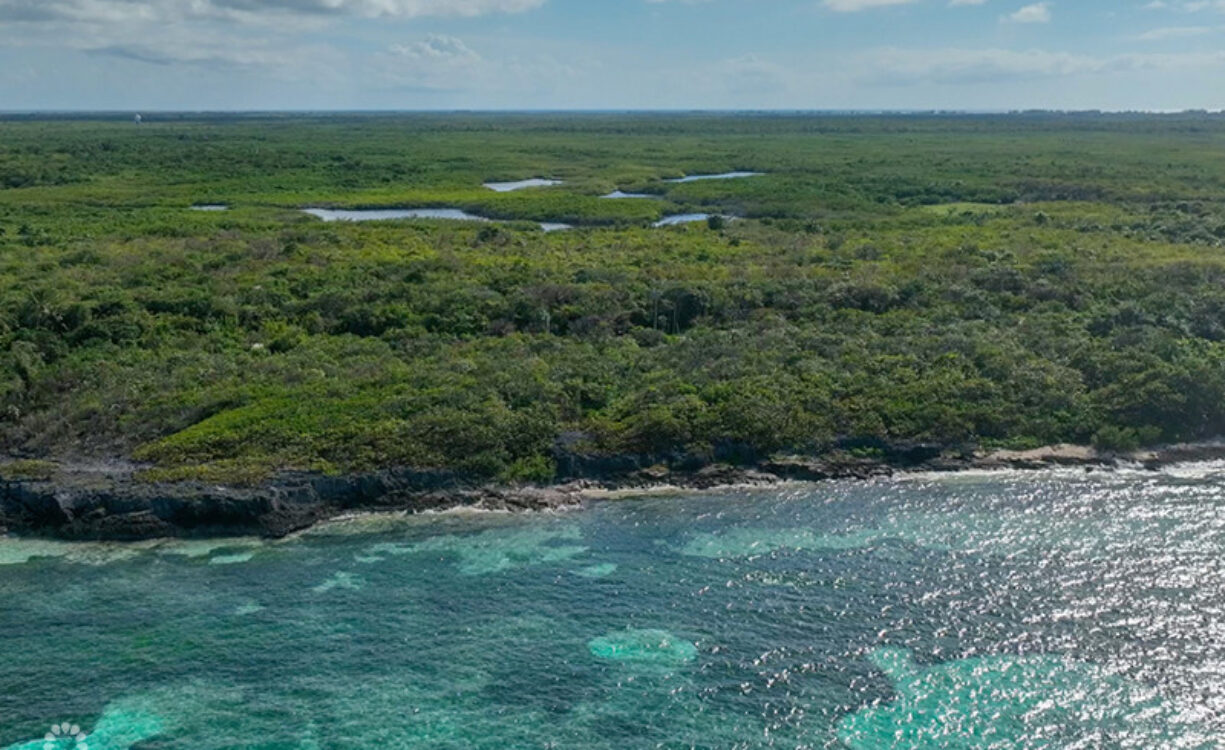 NORTH EAST COAST OCEAN FRONT LAND