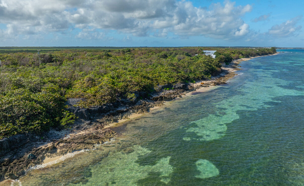 NORTH EAST COAST OCEAN FRONT LAND