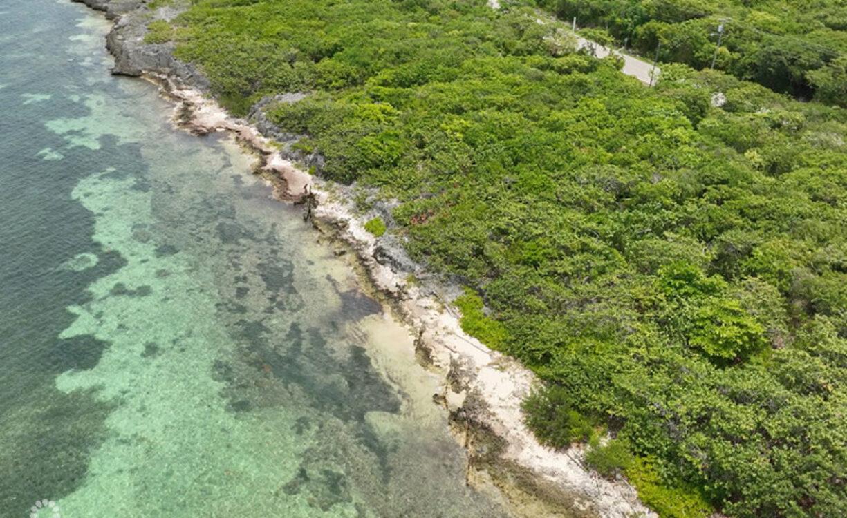 NORTH EAST COAST OCEAN FRONT LAND