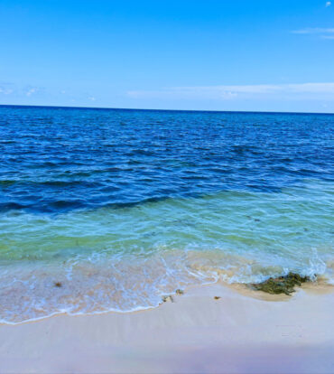 RUM POINT BEACHFRONT LOT W/CORAL REEF STEPS AWAY