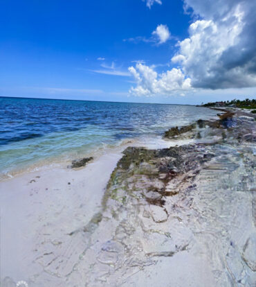 RUM POINT BEACHFRONT LOT W/CORAL REEF STEPS AWAY