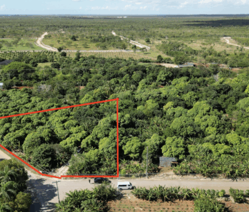 RARE 1-ACRE FARM PARADISE IN UP-AND-COMING HIGH ROCK - EAST END'S HOTTEST FARMING LOCATION