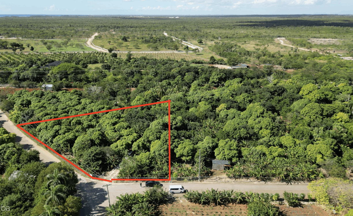 RARE 1-ACRE FARM PARADISE IN UP-AND-COMING HIGH ROCK - EAST END'S HOTTEST FARMING LOCATION