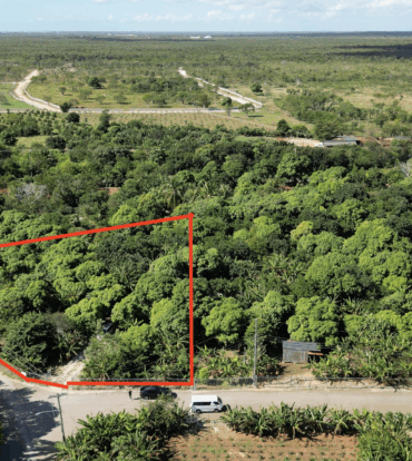 RARE 1-ACRE FARM PARADISE IN UP-AND-COMING HIGH ROCK - EAST END'S HOTTEST FARMING LOCATION