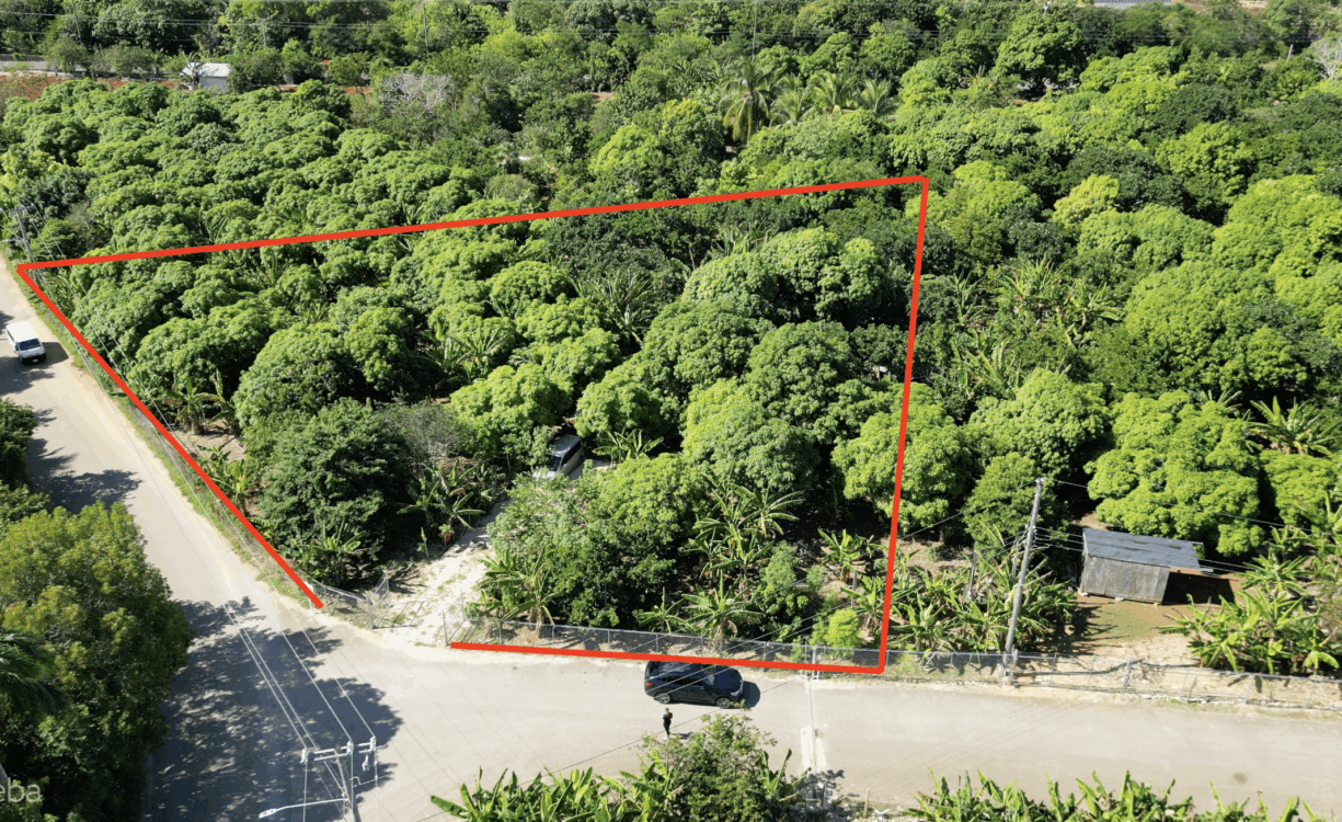 RARE 1-ACRE FARM PARADISE IN UP-AND-COMING HIGH ROCK - EAST END'S HOTTEST FARMING LOCATION