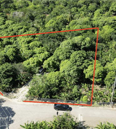 RARE 1-ACRE FARM PARADISE IN UP-AND-COMING HIGH ROCK - EAST END'S HOTTEST FARMING LOCATION