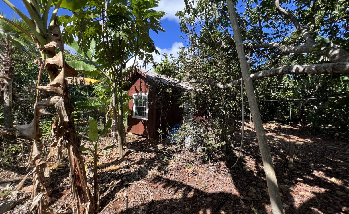 RARE 1-ACRE FARM PARADISE IN UP-AND-COMING HIGH ROCK - EAST END'S HOTTEST FARMING LOCATION