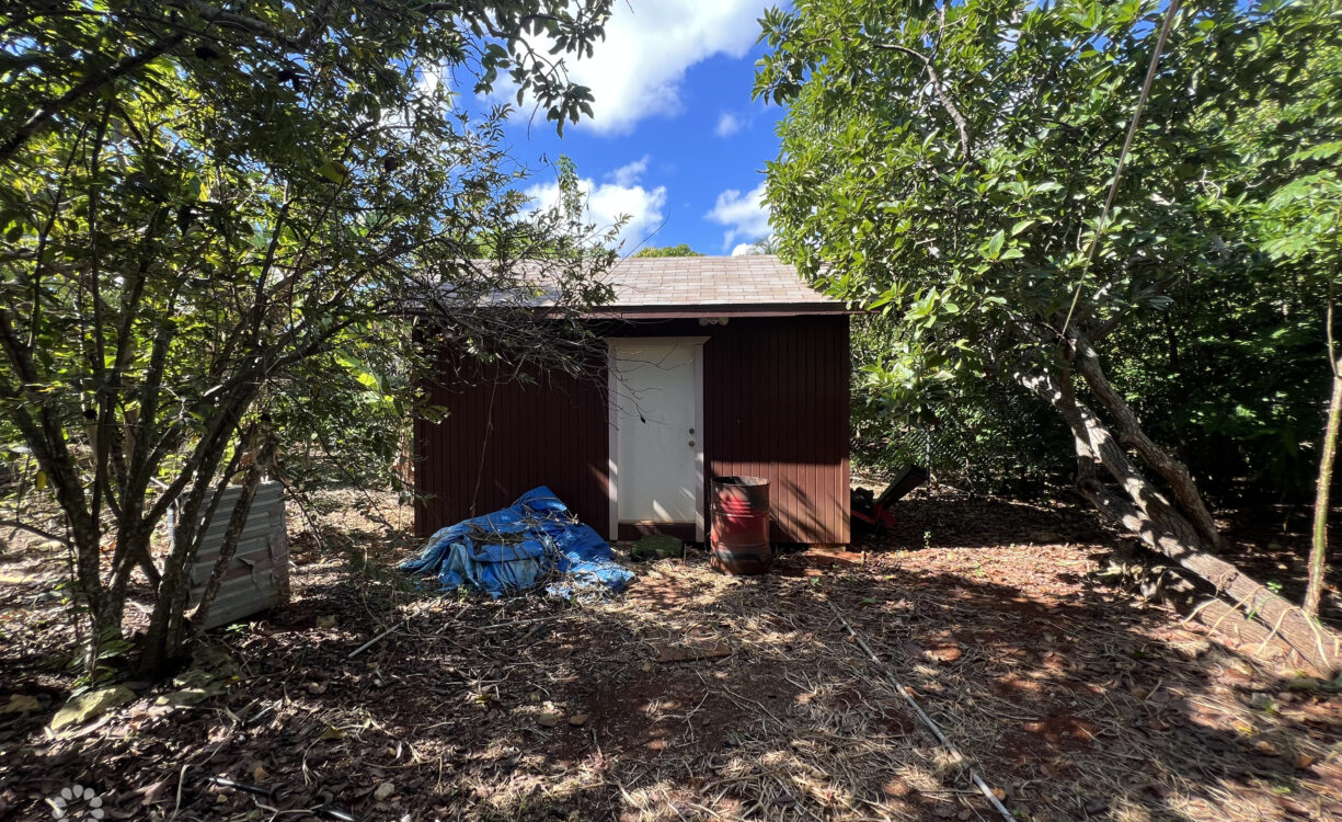 RARE 1-ACRE FARM PARADISE IN UP-AND-COMING HIGH ROCK - EAST END'S HOTTEST FARMING LOCATION