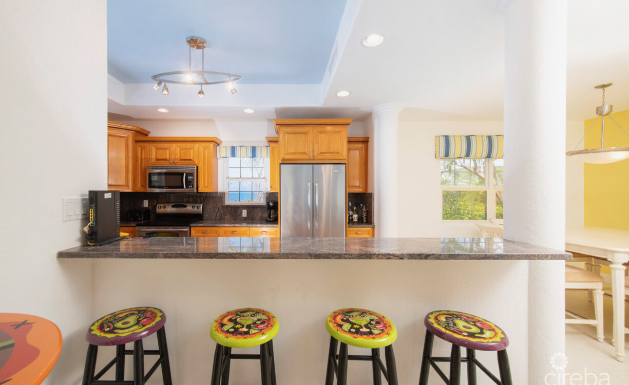 SAVANNAH BLUFF OCEANFRONT HOME