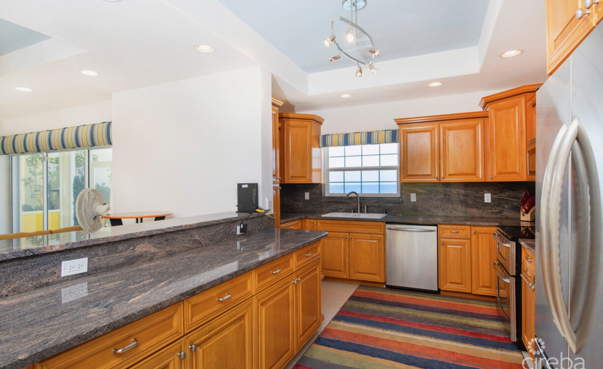 SAVANNAH BLUFF OCEANFRONT HOME