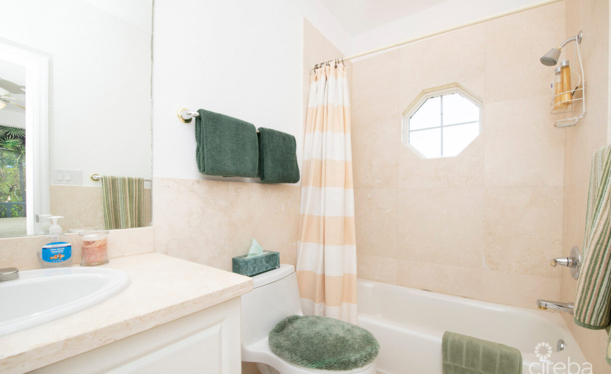 SAVANNAH BLUFF OCEANFRONT HOME