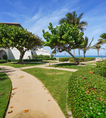 VILLA PAPPAGALLOS OCEANVIEW!