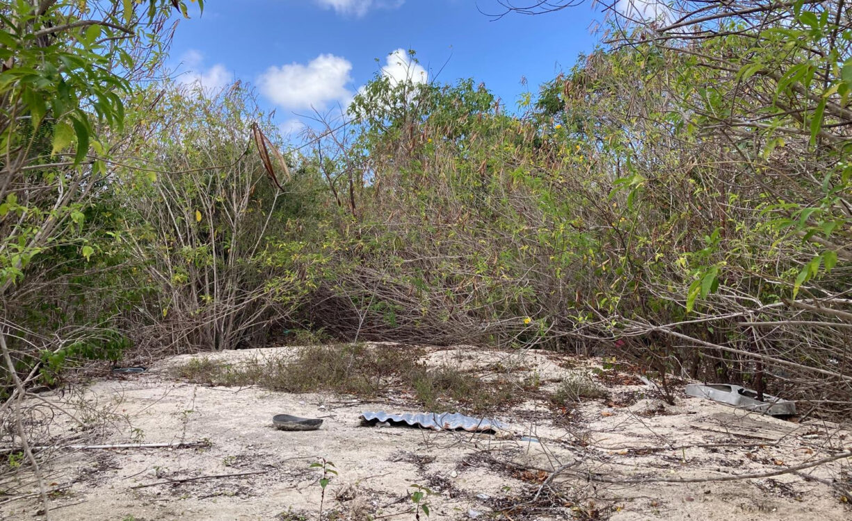 EAST END LAND 0.45 ACRES IN JOHN MCLEAN DRIVE