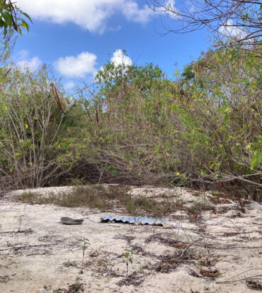 EAST END LAND 0.45 ACRES IN JOHN MCLEAN DRIVE