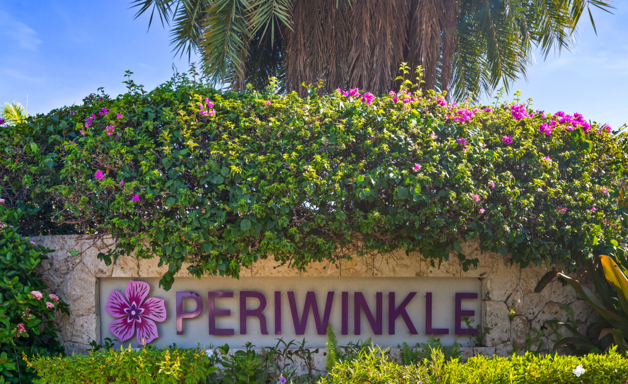 PERIWINKLE 1