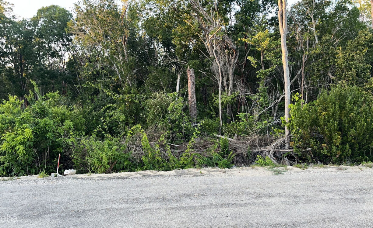 CAYMAN BRAC CENTRAL LAND