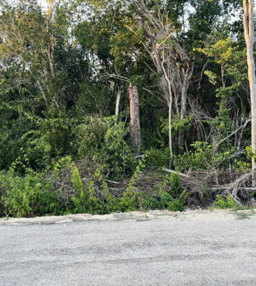 CAYMAN BRAC CENTRAL LAND
