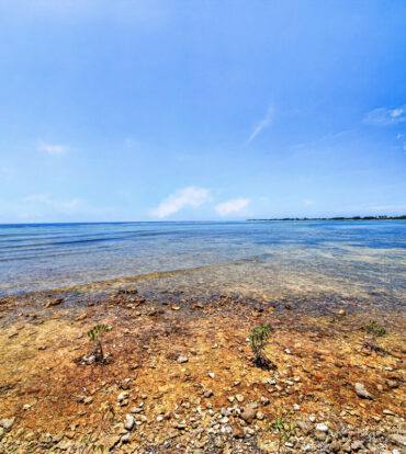 PALACADES VILLA 1 - OCEANFRONT PRIVACY