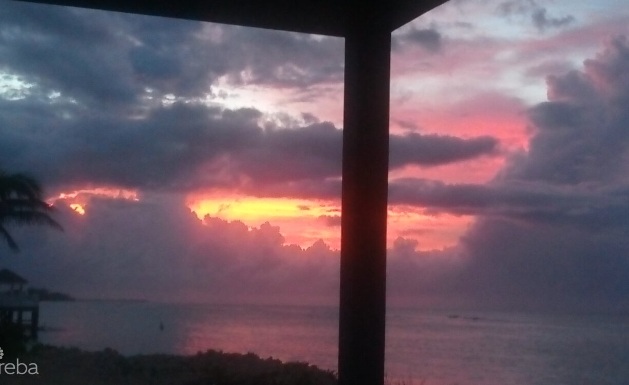 VIDA VISTAS