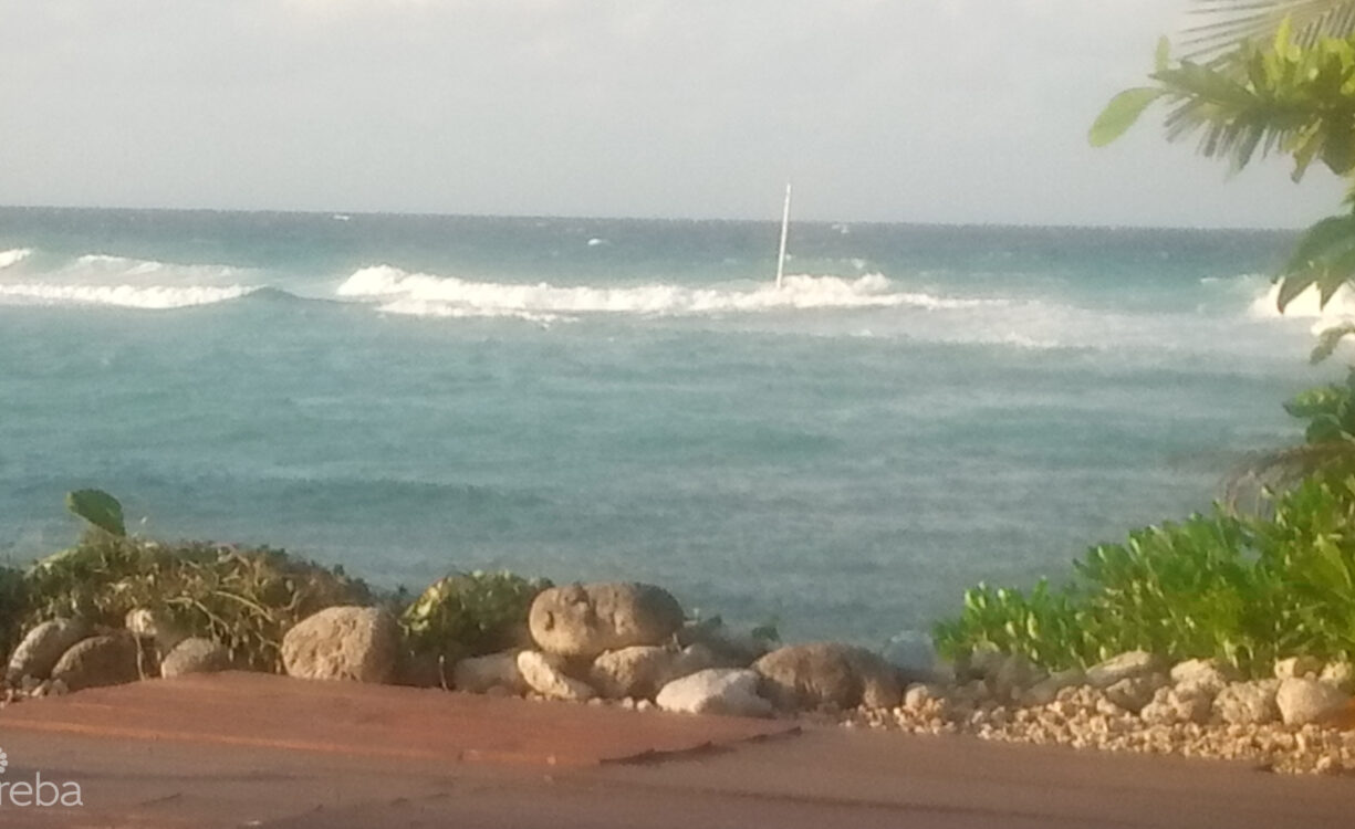 VIDA VISTAS