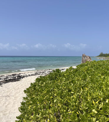 SECRET BEACH