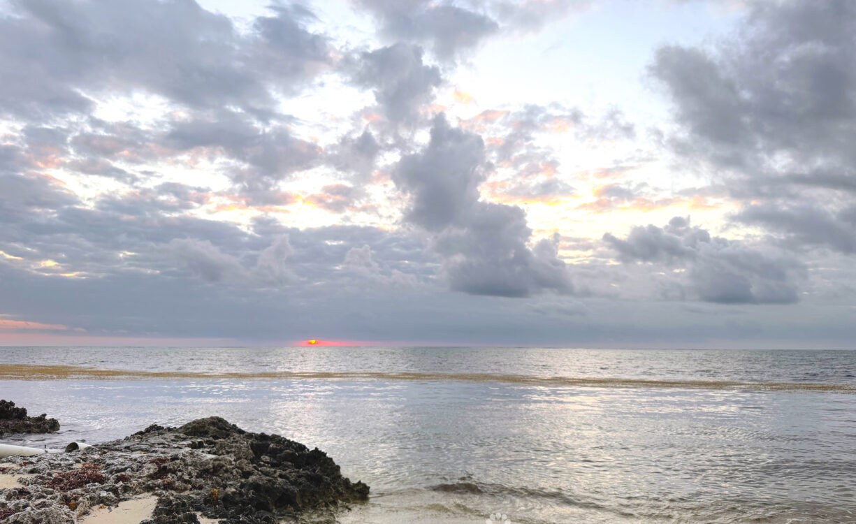 PRIME OCEANFRONT LAND - HOUSE LOT #5