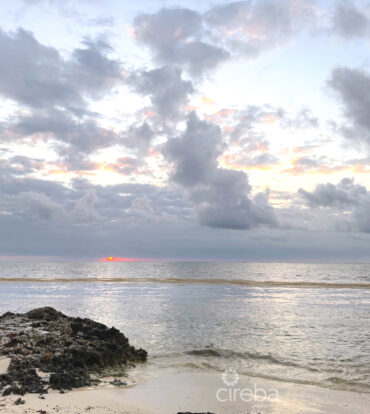 PRIME OCEANFRONT LAND - HOUSE LOT #5