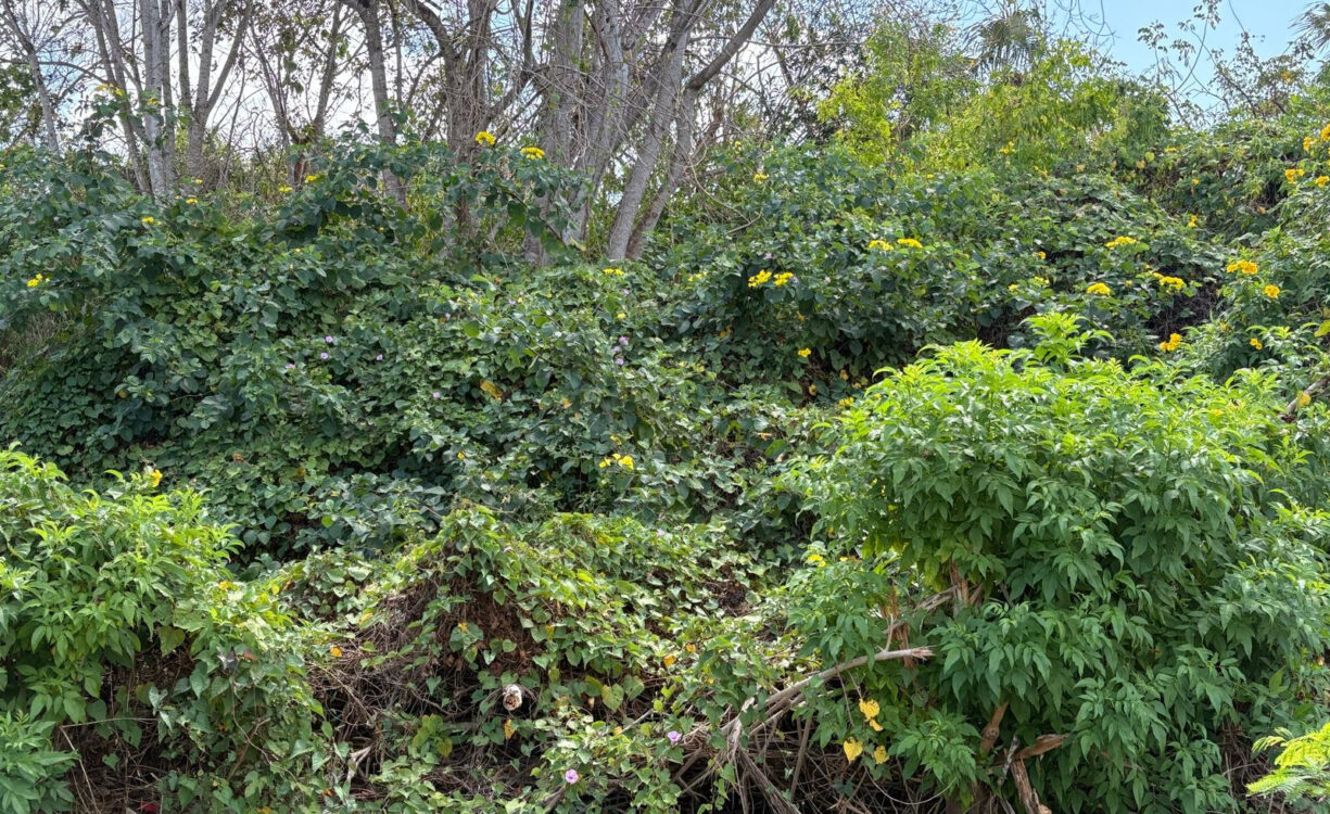 NATURE'S CIRCLE PARCEL