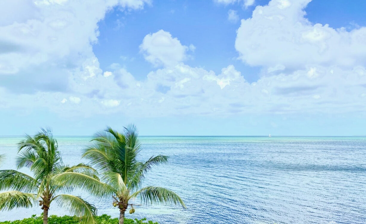 HARBOUR POINT OCEANFRONT 3 BED PLUS OFFICE