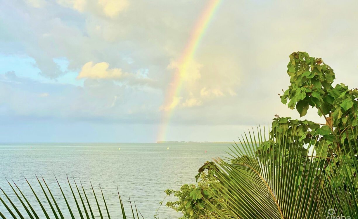 HARBOUR POINT OCEANFRONT 3 BED PLUS OFFICE